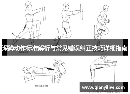 深蹲动作标准解析与常见错误纠正技巧详细指南